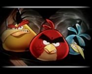 pic for Angry birds 
